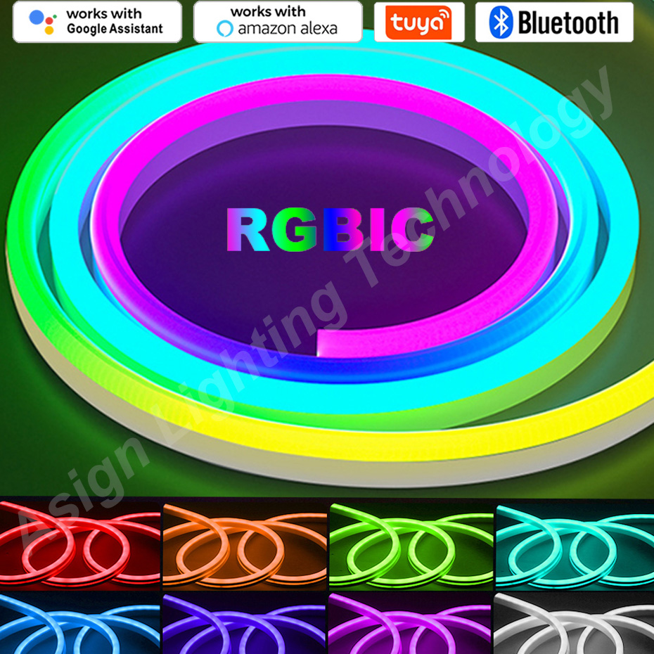 Smart Garden Led Lights - RGBIC LED Neon Streifen 12V 96LEDs/M