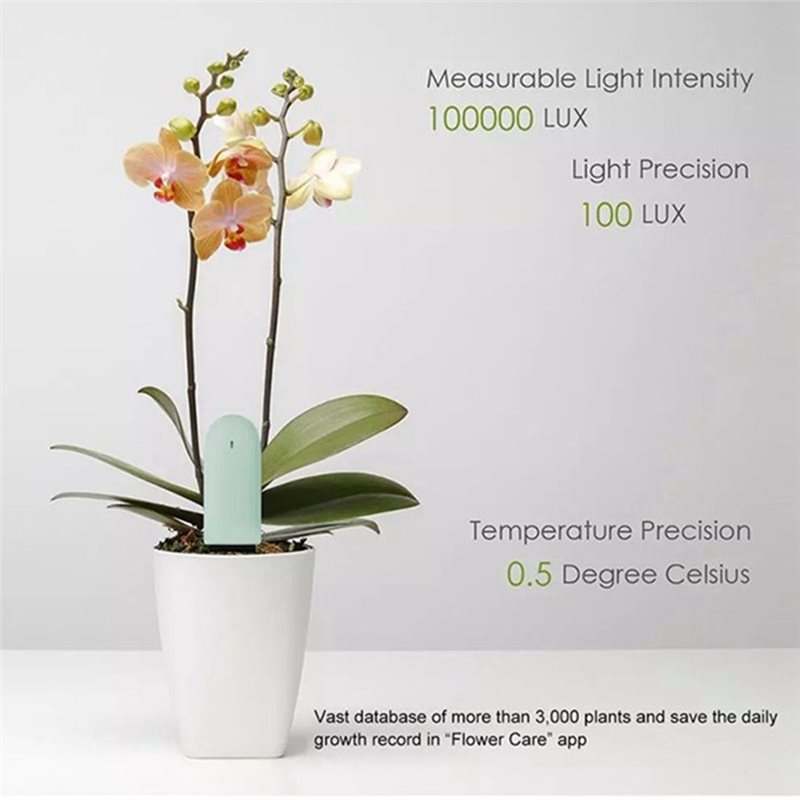 A36T-Gartenpflanzenpflege-Blum – Smart Garden Test Bewertung und Preis