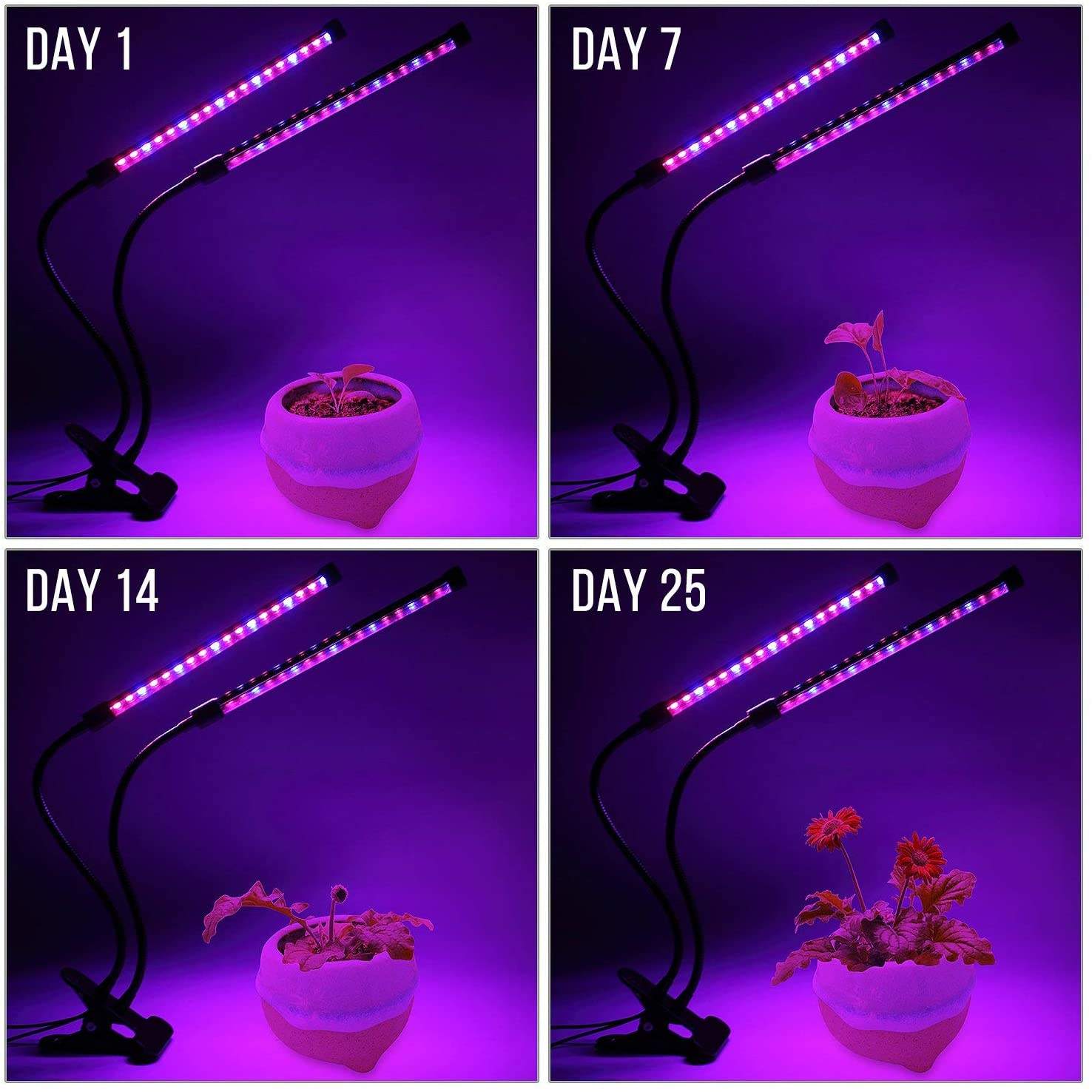 USB-LED-Pflanzenwachstumslicht – Smart Garden Indoor Bewertung und Preis