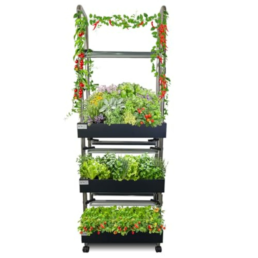 Indoor-Hydrokultur-Anbausystem – Smart Garden Indoor Bewertung und Preis