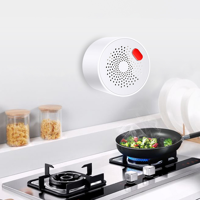 Tuya smart home wifi erdgas se – Smart Garden Home Bewertung und Preis