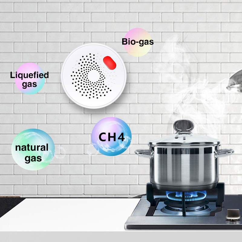 Tuya smart home wifi erdgas se – Smart Garden Home Bewertung und Preis