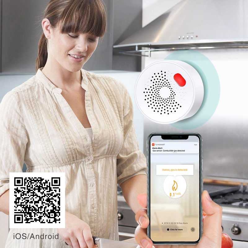 Tuya smart home wifi erdgas se – Smart Garden Home Bewertung und Preis