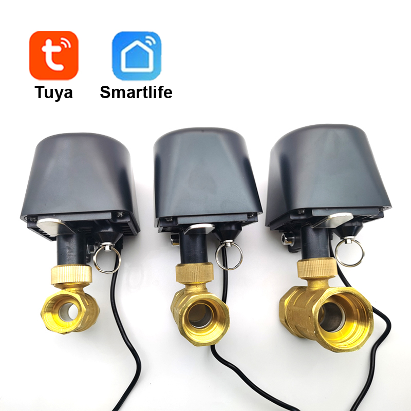 Tuya WiFi oder Zigbee Wasserve – Smart Garden Home Bewertung und Preis